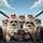 Seven Fluffy Cats Sunglasses Steering Wheel - Travel Essentials for Cat Lover Spare Tire Cover - 6