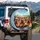 Realistic Chickens Eyeglasses Driving Road Trip Vehicle Decor Gift for Chicken Lover Spare Tire Cover - 3