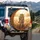 Golden Striped Bengal Tiger Golden Grass Sunlit Savanna Forest - Wildlife Lover Gift Spare Tire Cover - 3