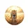 Golden Striped Bengal Tiger Golden Grass Sunlit Savanna Forest - Wildlife Lover Gift Spare Tire Cover - 4