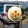 Blooming Sunflowers Daisies Wildflower Field - Garden Lover Gift Spare Tire Cover - 3