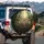 Closely Packed Wide-Eyed Tigers in Lush Tropical Jungle - Wildlife Lover Gift Spare Tire Cover - 3