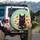 Majestic Black Cat Wildflower Meadow Golden Sky - Home Decor Gift for Cat Lover Spare Tire Cover - 3