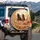 Three Majestic Wild Horses Galloping Dust Desert Scene - Wildlife Lover Gift Spare Tire Cover - 3