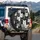Dense Crowd of Curious Black White Grey Cats - Home Decor Gift for Cat Lovers Spare Tire Cover - 3