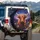 Highland Cow Wildflower Meadow Twilight - Farmhouse Home Decor Gift for Cow Lover Spare Tire Cover - 3