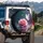 Deep Teal Pink Rose White Butterfly Luminous Orbs Glitter - Car Decor Gift Spare Tire Cover - 3