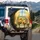 Sunflowers Chrysanthemums Sunlit Windowsill Pastoral Landscape - Garden Lover Gift Spare Tire Cover - 3