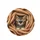 Tabby Kitten Blue Eyes White Paws Emerging Camel Fabric - Pet Lover Gift for Cat Owners Spare Tire Cover - 4