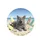 British Shorthair Cat Tropical Beach Surfboards Seashells - Cat Lover Gift Spare Tire Cover - 4