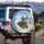 British Shorthair Cat Tropical Beach Surfboards Seashells - Cat Lover Gift Spare Tire Cover - 3