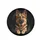 Prominent German Shepherd Dog Paws Front Facing - Dog Lover Gift Spare Tire Cover - 4