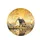 Country House Birch Trees Golden Sky Water - Farmhouse Decor Gift Spare Tire Cover - 4