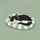 Contented Sleeping Black White Tuxedo Cat Sage Green Stripe - Everyday Home Decor Gift Spare Tire Cover - 6