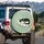 Contented Sleeping Black White Tuxedo Cat Sage Green Stripe - Everyday Home Decor Gift Spare Tire Cover - 3