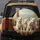 Fluffy Puppy Dogs Beige Cushion - Home Decor Gift for Dog Lover Spare Tire Cover - 5