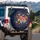 Lush Dahlia Cosmos Floral Vines - Home Decor Gift for Garden Lover Spare Tire Cover - 3