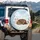 Sleeping Miniature Dachshund Magnolia Blossoms - Dog Lover Home Decor Gift Spare Tire Cover - 3