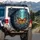 Monarch Butterflies Flying Swarm Twilight Garden Bokeh Lights - Wildlife Lover Gift for Travel Spare Tire Cover - 3
