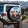 Wide-Eyed Cows Driving in Car - Farmhouse Decor Gift Spare Tire Cover - 3