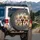 Fluffy Shih Tzu Puppies Beaded Headband Harness Bow Tie - Dog Lover Gift Spare Tire Cover - 3