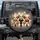 Fluffy Shih Tzu Puppies Beaded Headband Harness Bow Tie - Dog Lover Gift Spare Tire Cover - 1