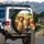 Golden Retrievers Driving Hay Bales Countryside - Road Trip Travel Gift for Dog Lovers Spare Tire Cover - 3