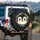 Cartoon Penguin Face Snowflake Frosty - Winter Lover Gift for Penguin Lovers Spare Tire Cover - 3