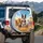 Smiling Diverse Dogs Red Bandanas Golden Field - Dog Lover Gift Spare Tire Cover - 3