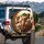 Golden Goldendoodle Captain with Diverse Labradoodle Puppy Group - Adventure Lover Gift Spare Tire Cover - 3