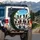 Dogs Tropical Road Trip - Road Trip Lover Gift for Dog Lovers Spare Tire Cover - 3