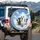 Diverse Great Danes Majestic Blue Sky White Clouds - Dog Lover Gift Spare Tire Cover - 3
