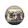 Pugs Driving Road Trip Landscape - Travel Essentials for Dog Owners Spare Tire Cover - 4