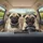 Pugs Driving Road Trip Landscape - Travel Essentials for Dog Owners Spare Tire Cover - 6