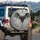 Majestic Bat Stained Glass Mosaic Botanicals - Gothic Home Decor Gift Spare Tire Cover - 3