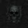 Weathered Skull Camouflage - Tactical Lifestyle Gift for Veterans Spare Tire Cover - 6
