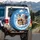 Driving Cats Sunglasses Clouds Blue Sky - Road Trip Travel Gift for Cat Lovers Spare Tire Cover - 3