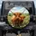 Highland Cow Wildflower Meadow - Farmhouse Home Decor Gift for Cow Lover Spare Tire Cover - 1