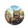 Tabby Ginger Cats Driving Vehicle - Open Road Adventure Gear for Cat Lovers Spare Tire Cover - 4