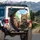 Tabby Ginger Cats Driving Vehicle - Open Road Adventure Gear for Cat Lovers Spare Tire Cover - 3