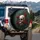 Weathered Human Skull Red Roses Thorny Vines Foliage - Fantasy Lover Gift Spare Tire Cover - 3