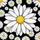 Prominent Daisy Floral Full Bloom - Home Decor Gift for Garden Lover Spare Tire Cover - 6