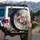 Blush Pink Cosmos Flowers Dark Smoke - Home Decor Gift for Flower Lovers Spare Tire Cover - 3