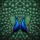 Symmetrical Peacocks Iridescent Feather Display - Wildlife Lover Gift Spare Tire Cover - 6