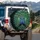 Symmetrical Peacocks Iridescent Feather Display - Wildlife Lover Gift Spare Tire Cover - 3
