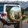 Fluffy Cats Wildflower Landscape - Nature Lover Gift for Cat Lovers Spare Tire Cover - 3