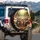 Four Cats Aviator Sunglasses Riding - Road Trip Accessory for Cat Lovers Spare Tire Cover - 3