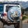 White Maned Lion Alpine Mountain Landscape - Wildlife Lover Gift Spare Tire Cover - 3