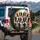 Engaging Border Collies Street Scene - Dog Lover Gift Spare Tire Cover - 3