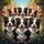 Engaging Border Collies Street Scene - Dog Lover Gift Spare Tire Cover - 6